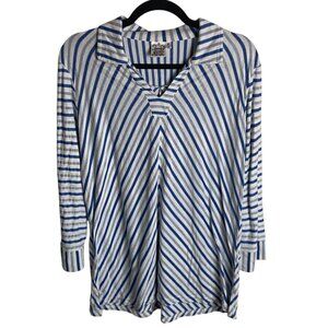 Parsley & Sage Size Xl Collared Striped Blouse Blue White Artsy Top V Neck Work